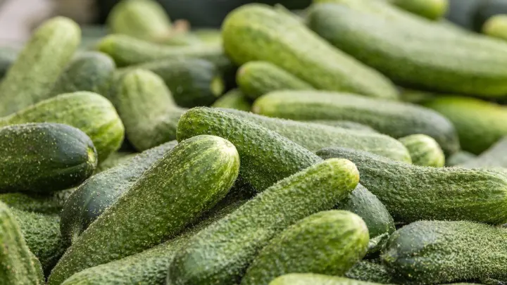 Spreewald zum Reinbeißen – das bietet das Event