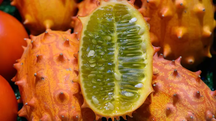 Kiwano und Yacón neben Gurken und Kohl – Unternehmer wagt Experiment