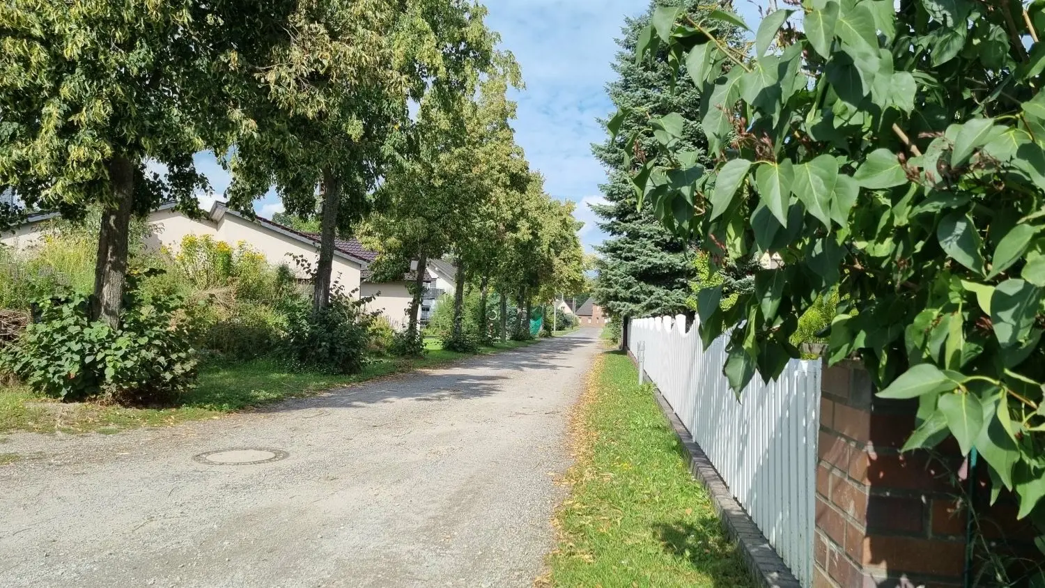 Hinterer, nicht asphaltierter Teil des knapp 200 Meter langen Mühlwegs in Raddusch.