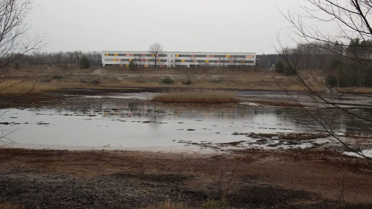 Blick über die mit Kohletrübe und Eisenschlamm belastete Nordwestbucht des Südsees zum Seecampus.
Blick über die mit Kohletrübe und Eisenschlamm belastete Nordwestbucht des Südsees zum Seecampus.