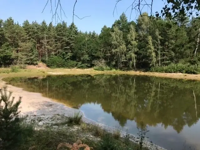 Badesee Lauta Warum wird der Tornoer Teich immer kleiner? Lausitzer