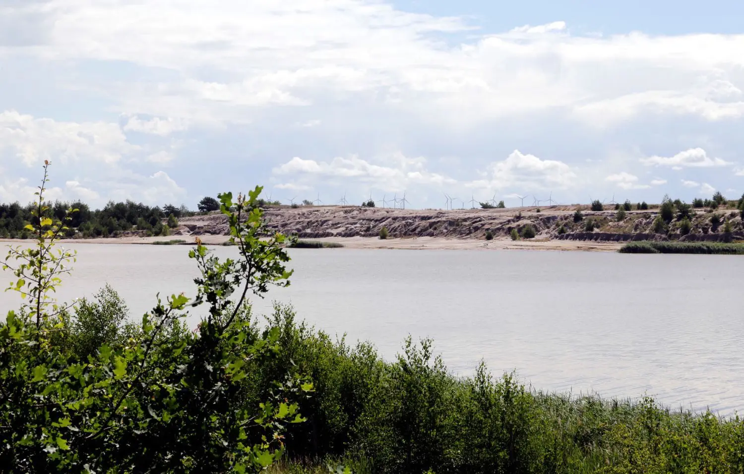Die einstige Mondlandschaft nach dem aktiven Bergbau unterliegt einem ständigen Wandel. Die große Düne gegenüber dem Heinz Sielmann Naturerlebniszentrum bietet noch Lebensraum für Pionierarten, die auf nährstoffarme, offene Böden angewiesen sind.