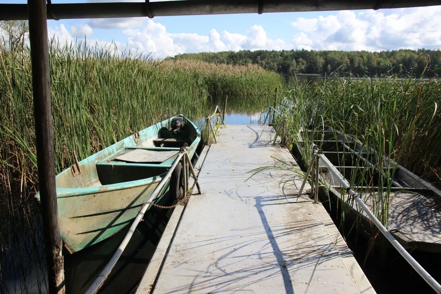 Über diesen Steg und mit diesem Boot sind die Glasaale in Wasserbehältern in Niemtsch in den Senftenberger See gelangt.