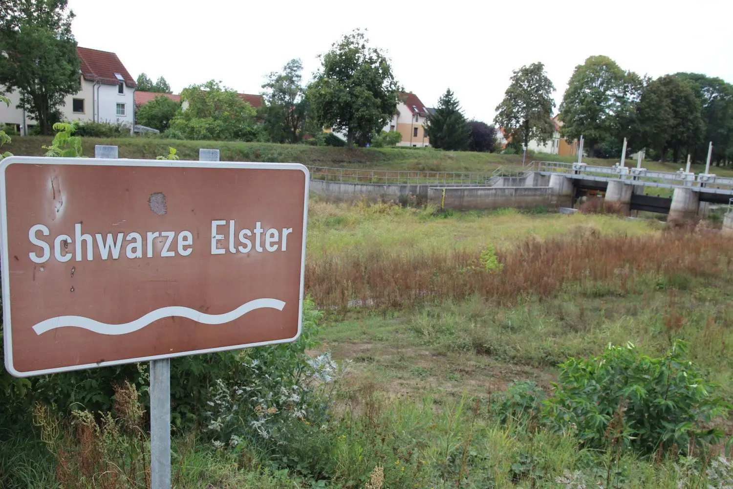 Wassermangel. Die Lage an der Schwarzen Elster zwischen Senftenberg und Kleinkoschen spitzt sich zu. Einzelne Fluss-Abschnitte sind schon komplett ausgetrocknet.