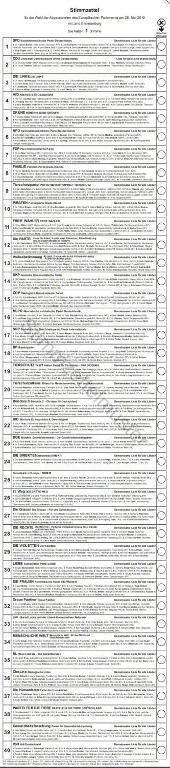 Knapp einen Meter lang ist der Stimmzettel zur Europawahl 2019 in Brandenburg. Dieses Muster hat der Landeswahlleiter in Brandenburg vor dem Wahltag am 26. Mai 2019 veröffentlicht.
