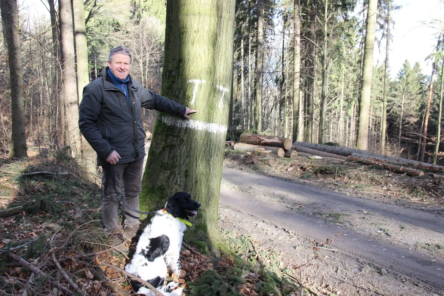 Die beiden T´s am Baumstamm markieren den Eingang zum Thurn-und-Taxis-Wald, wie Förster Andreas Haufe anmerkt. Das fürstliche Revier in der Westlausitz umfasst eine Größe von knapp 1000 Hektar.