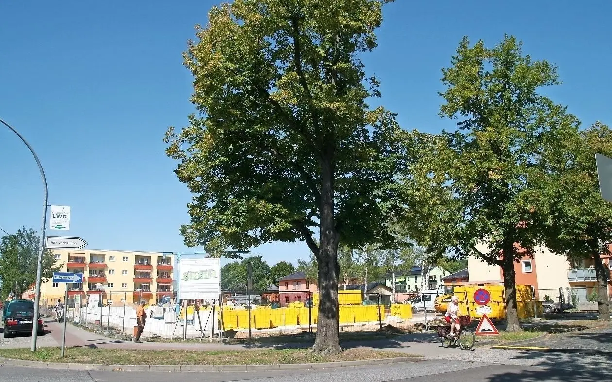 Ein Wohn- und Geschäftshaus baut die Spreewaldbank an der Parkstraße. Anfang 2021 soll es fertig sein.