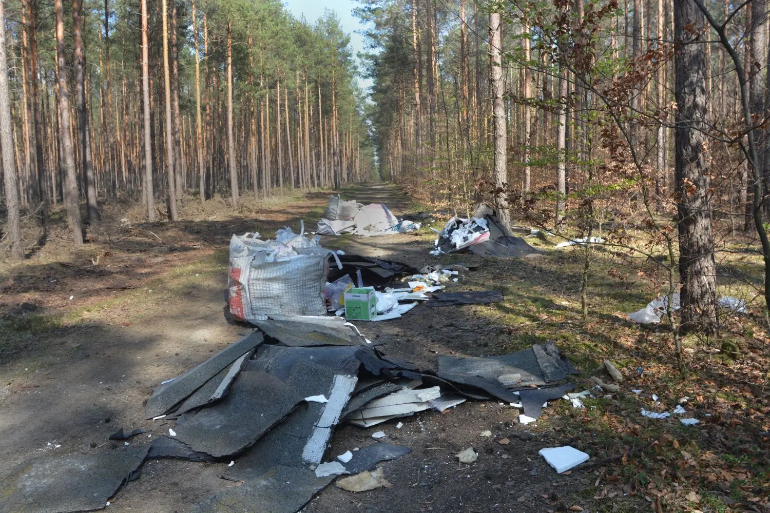 Eine komplette Lkw-Ladung Bauschutt haben Unbekannte im Wald bei Rettchensdorf abgekippt.