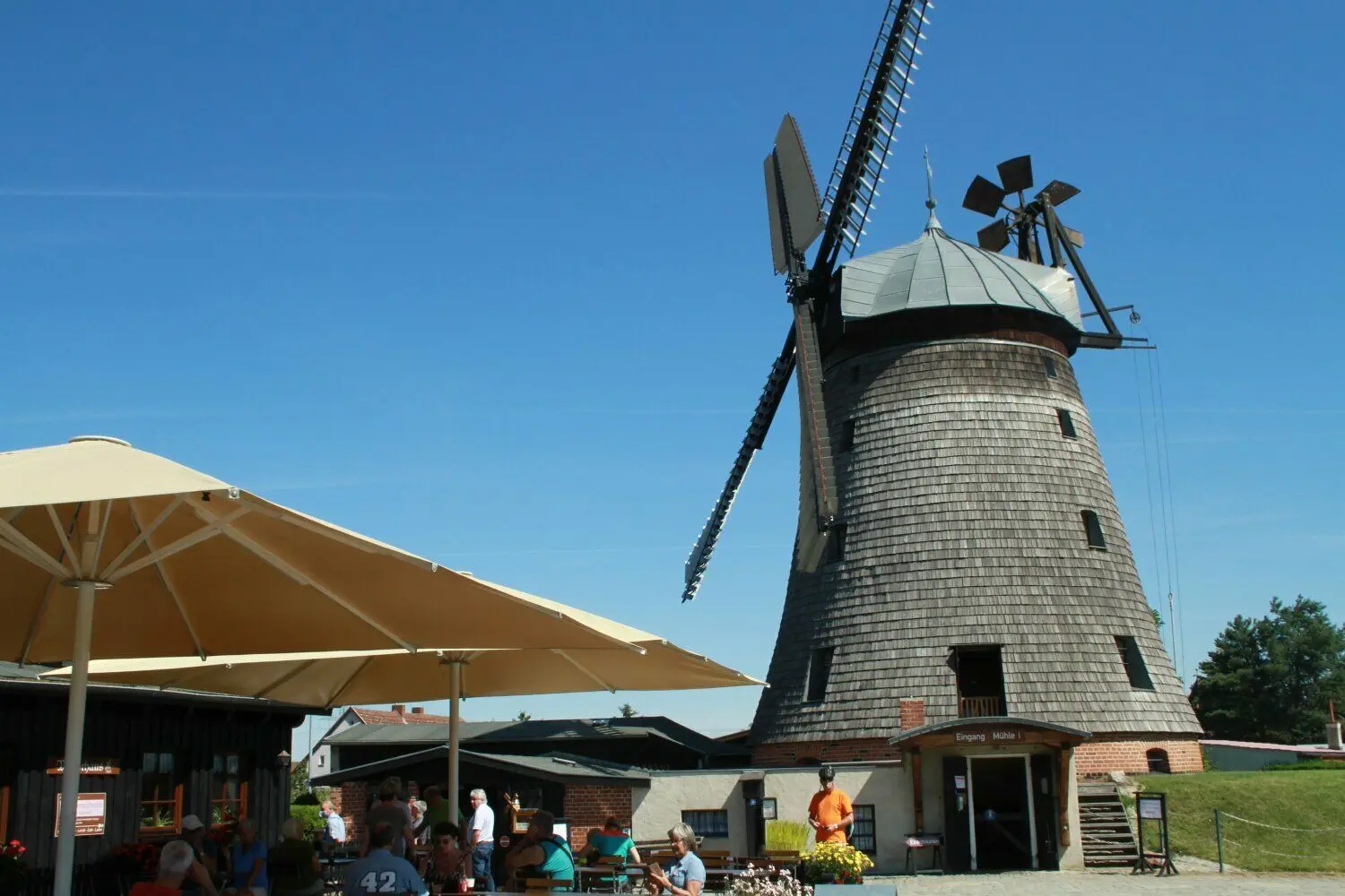 Die Straupitzer Holländerwindmühle wird zum Deutschen Mühlentag geöffnet.