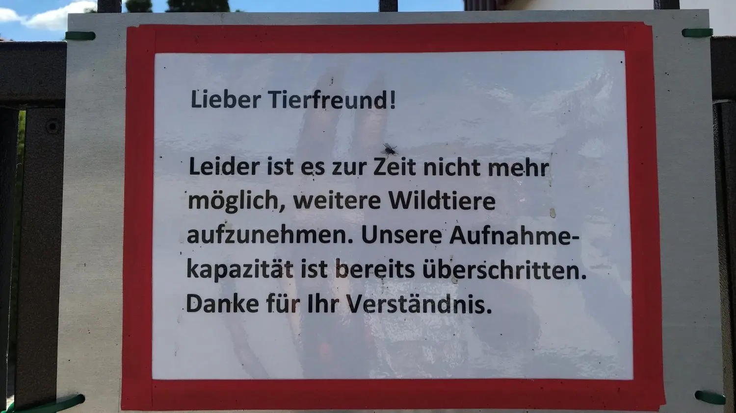 Die Kapazität der Wildtierauffangstation in Skadow ist erschöpft.