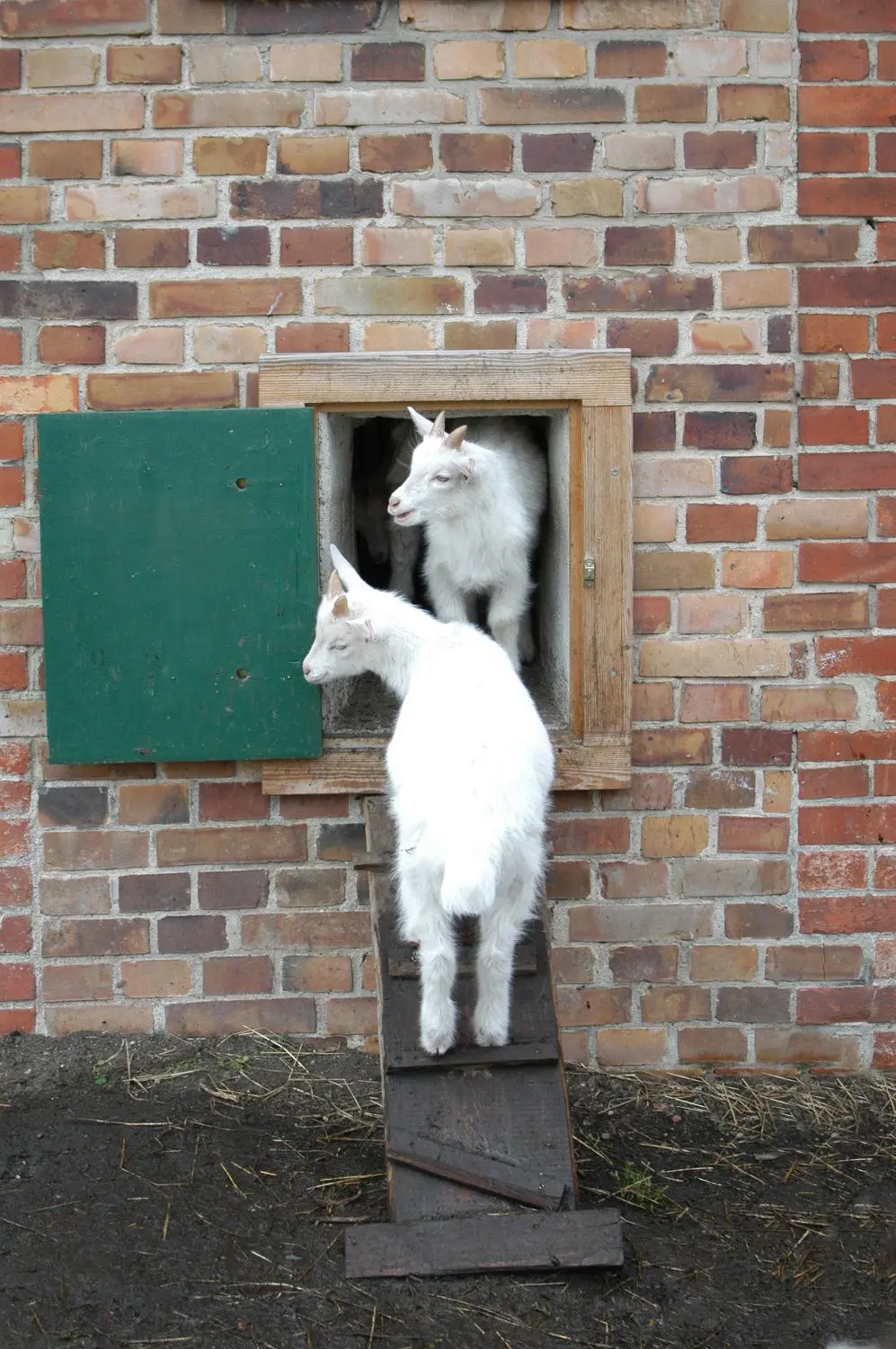 Das Besondere sind die Molkereiprodukte beziehungsweise Fleisch- und Wurstwaren  von Ziegen, Kühen und Schafen.