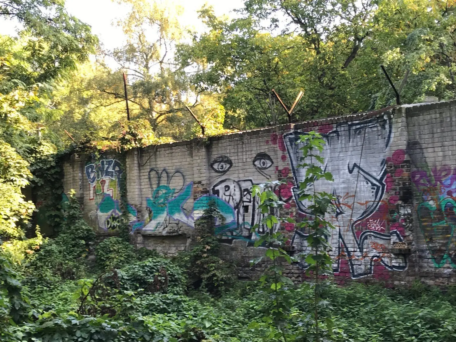 Eine ältere Mauer an der Klemkestraße, die mit Y-förmigen Stacheldrahtträgern zur Vorfeldsicherung der Mauer genutzt wurde. ⇥