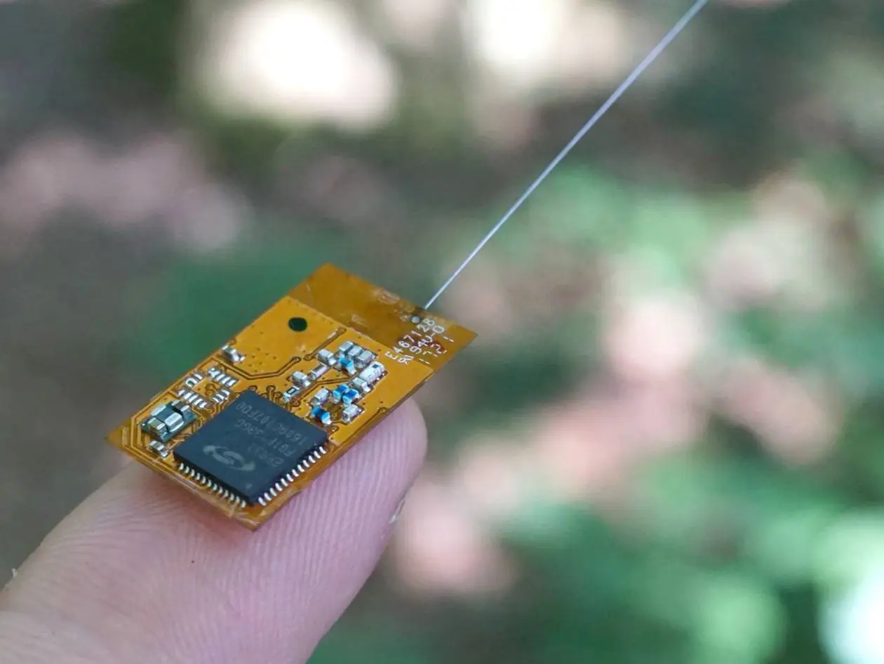 Der Sensor für die Fledermäuse ist so klein, dass er auf eine Fingerkuppe passt.