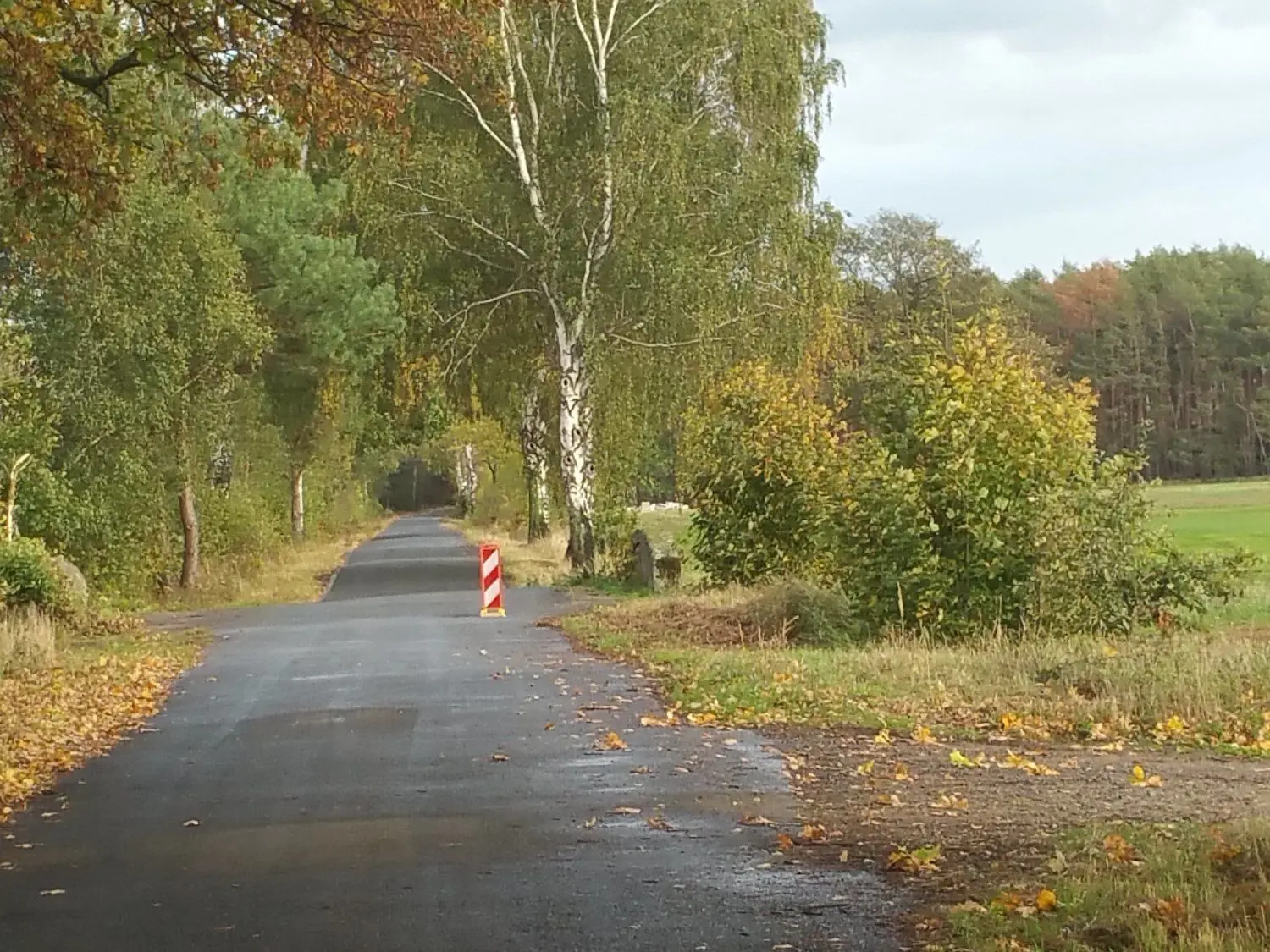Neben dieser Straße zwischen Bönitz und dem alten Bahnhof Wahrenbrück hat jemand seinen Sperrmüll und Bauabfälle entsorgt.