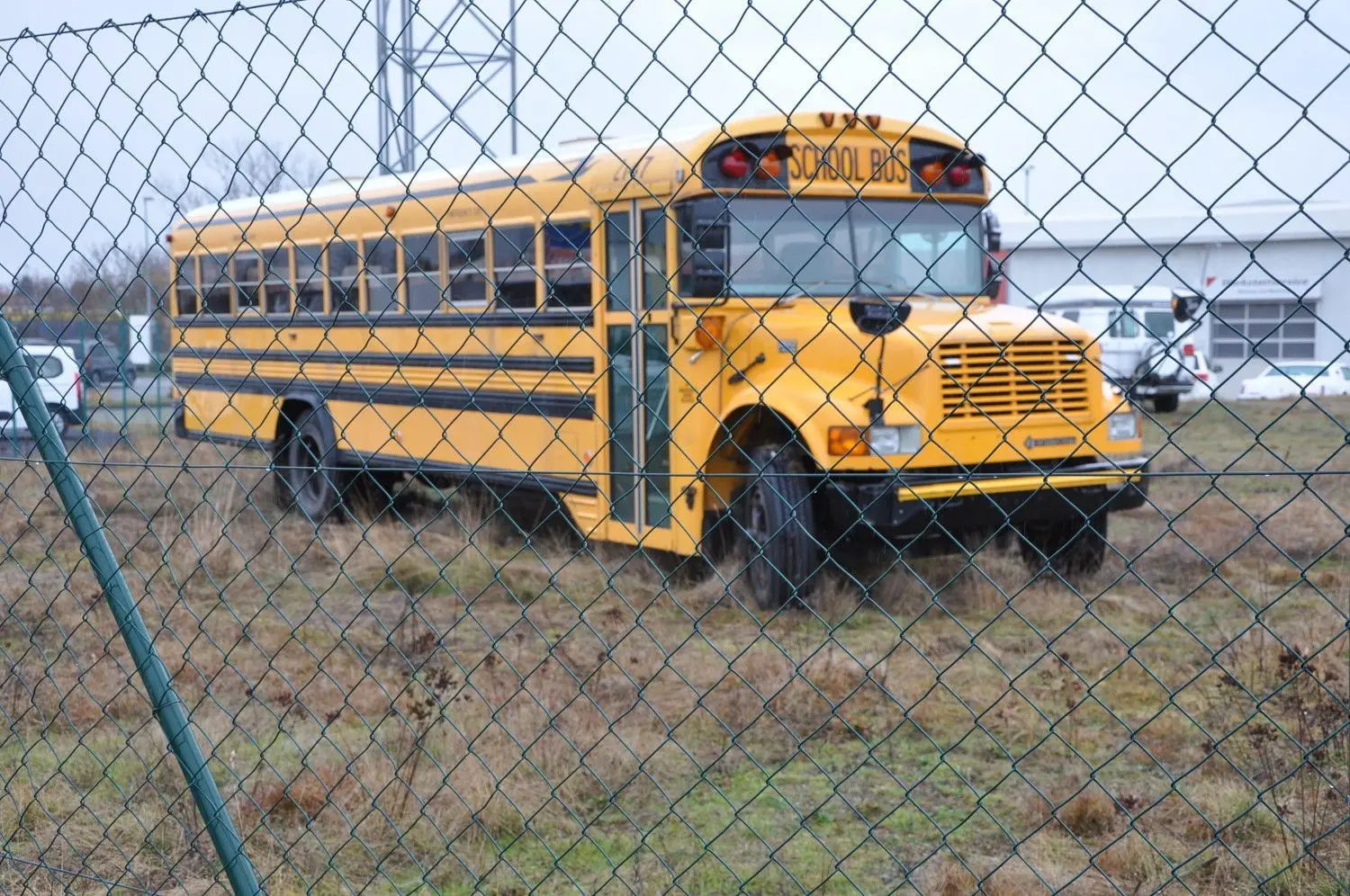Der American Schoolbus der Elsterwerdaer Magpies steht auf der Wiese eines Elsterwerdaer Autohauses und Gebrauchtwagenhandels.