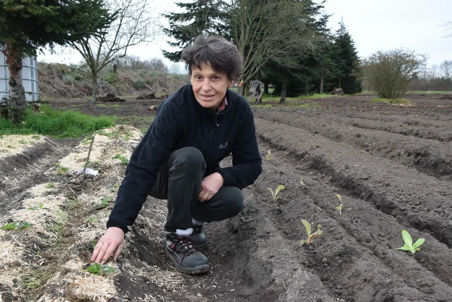BioGarten in Hoyerswerda Gemüseanbau wie in Mexiko wie solidarische