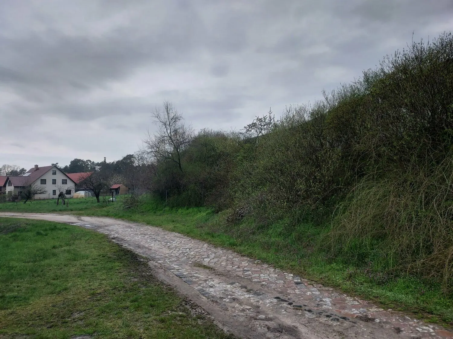 Lärmschutzwall in Terpt bei Luckau entlang der A13 im Nordwesten.