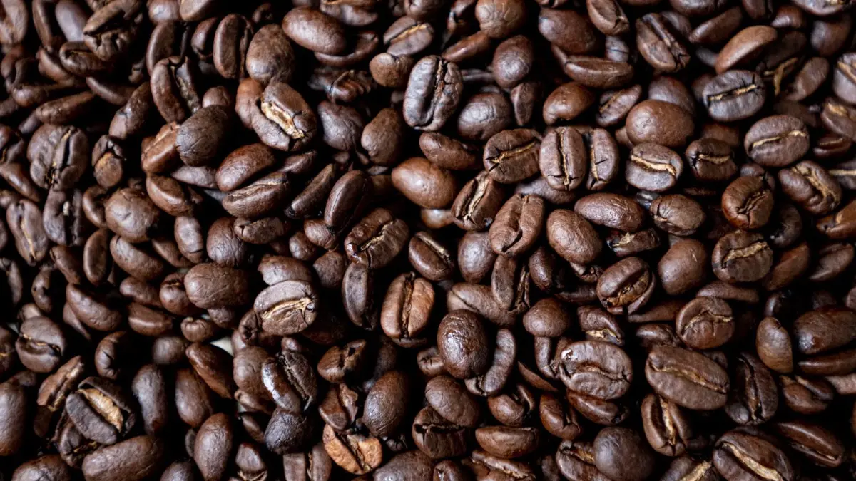 Ganze geröstete Kaffeebohnen liegen im Trend – das erkennt auch der Handel. Einige Discounter und Supermärkte senken die Preise für verschiede Kaffeeprodukte.
ARCHIV - 24.09.2021, Berlin: Geröstete Kaffeebohnen liegen auf einem Tisch. In der Woche vor Weihnachten senkt Aldi die Preise für Kaffee deutlich. Edeka, Rewe, Penny und Netto kündigten an, dem Beispiel zu folgen. (zu dpa: «Aldi senkt Kaffeepreise, andere Handelsketten wollen nachziehen») Foto: Fabian Sommer/dpa +++ dpa-Bildfunk +++