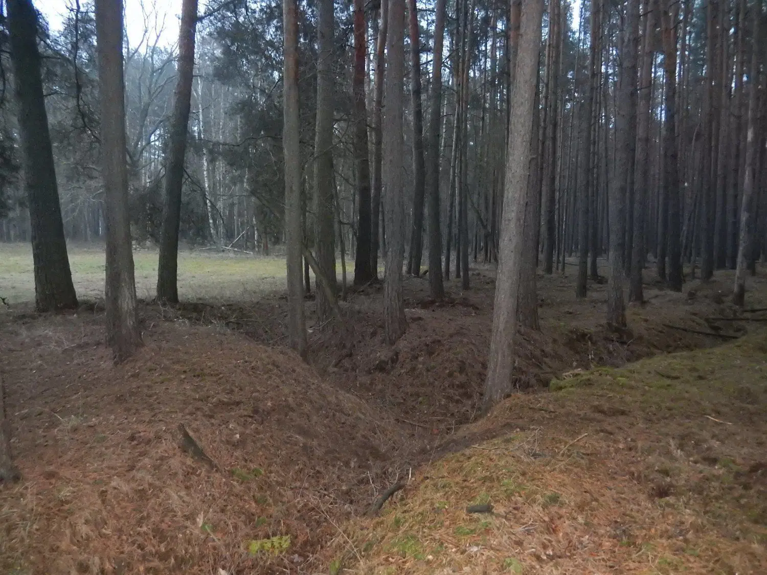 Noch heute sind Reste der deutschen Schützengräben im Bereich der Absturzstelle bei Klein Bademeusel zu sehen.