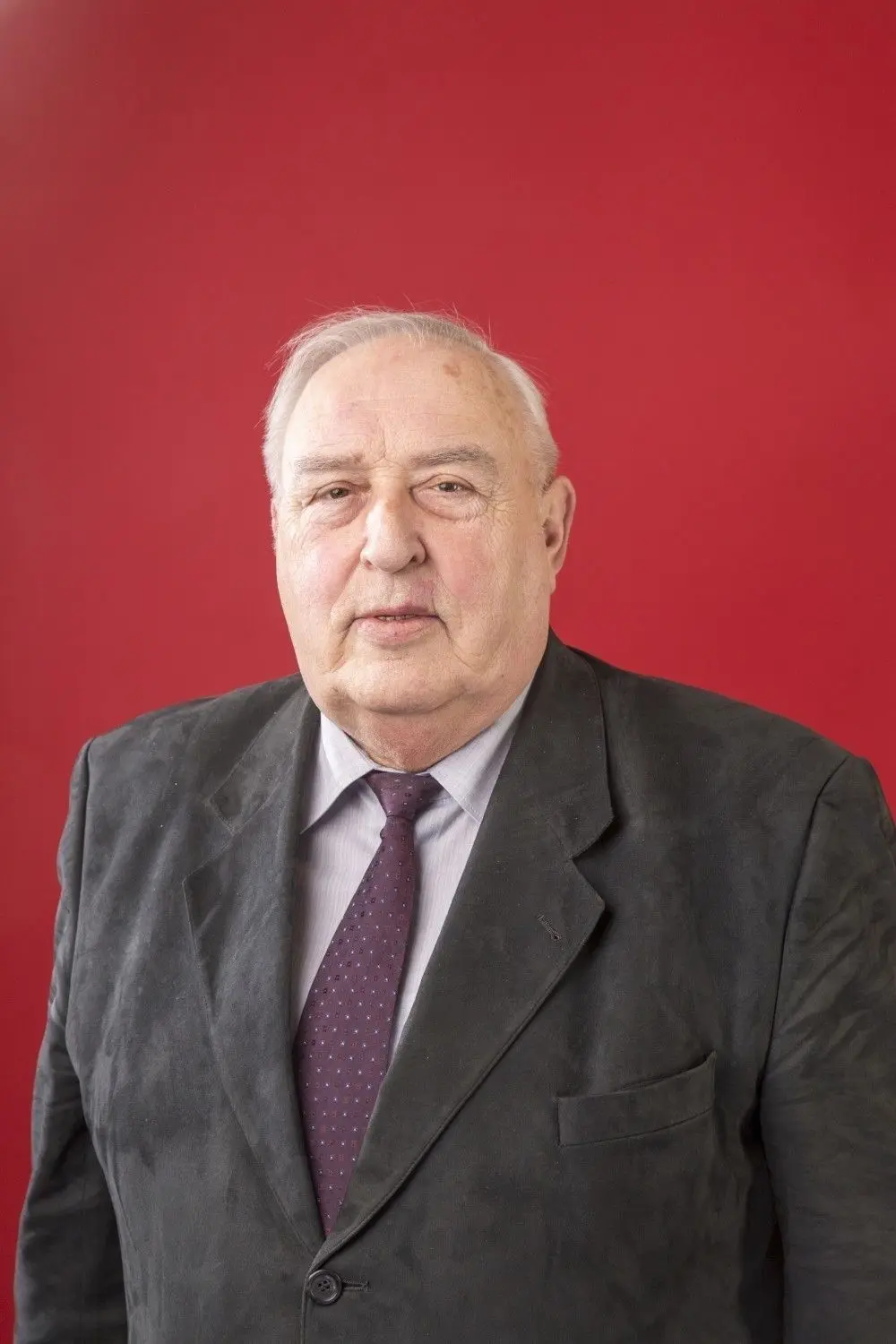 Horst Fillmer, SPD