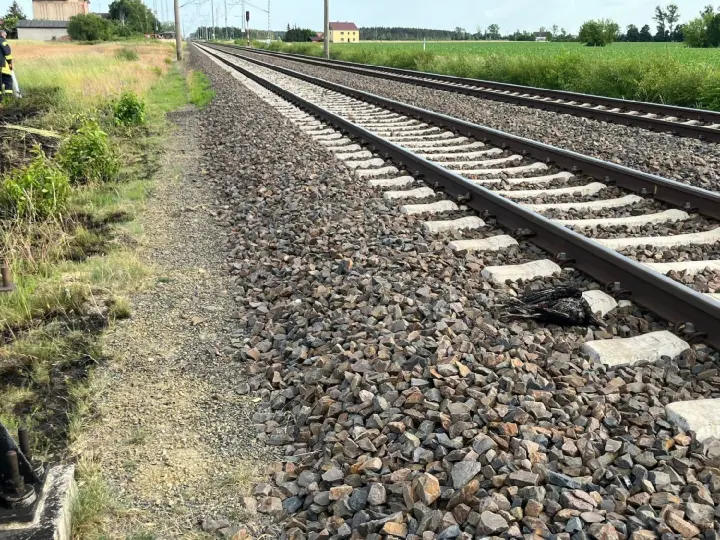 Vogel fliegt in die Oberleitung der Bahn und löst Funkenflug aus