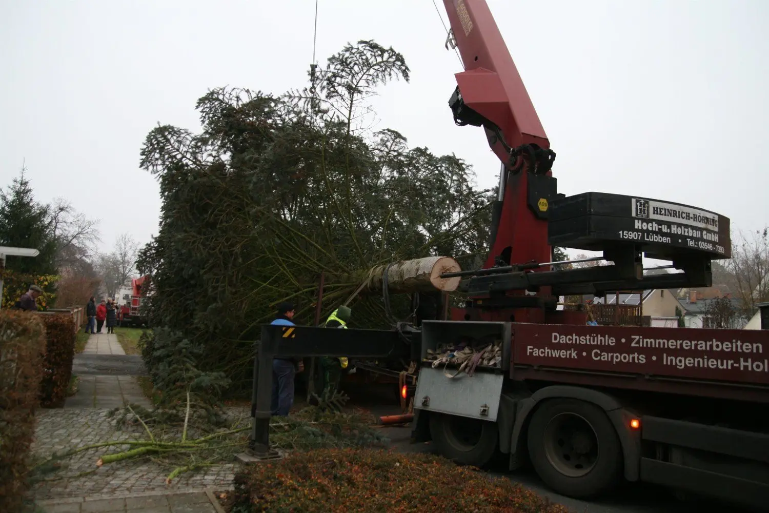 In der Akazienstraße wird der Weihnachtsbaum für den Lübbener Markt in diesem Jahr abgeholt.