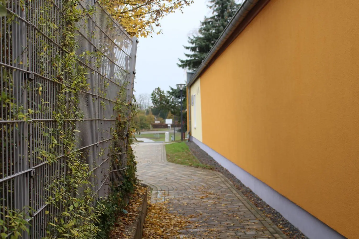 Das Vereinsheim im Hintergrund wird immer öfter von Vandalismus heimgesucht. Zäune werden immer wieder demoliert.