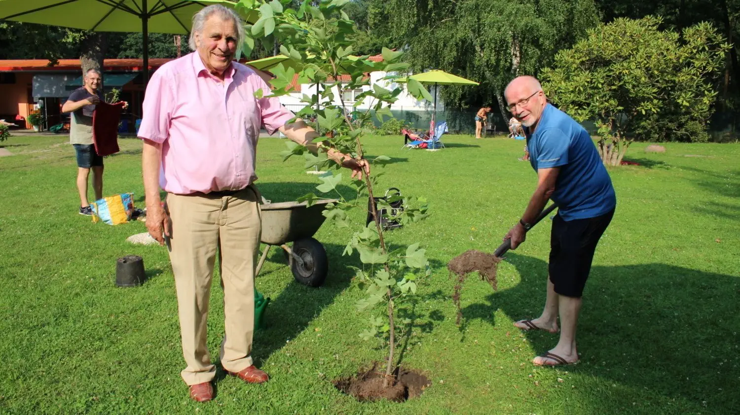 Achim Noack beim Pflanzen eines Tupenbaumes (Liriodendron tulifera); Bürgermeister Eberhard Müller verfüllt das Pflanzloch.
