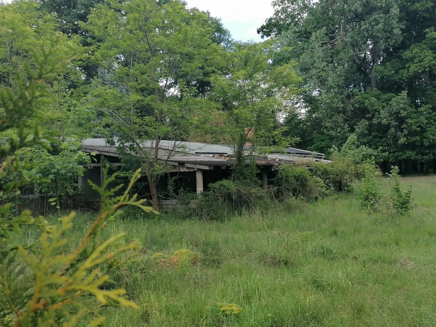 Auch die Nebengebäude auf den unbewohnten Grundstücken in Alwine verfallen. Die Natur holt sich den Raum zurück.