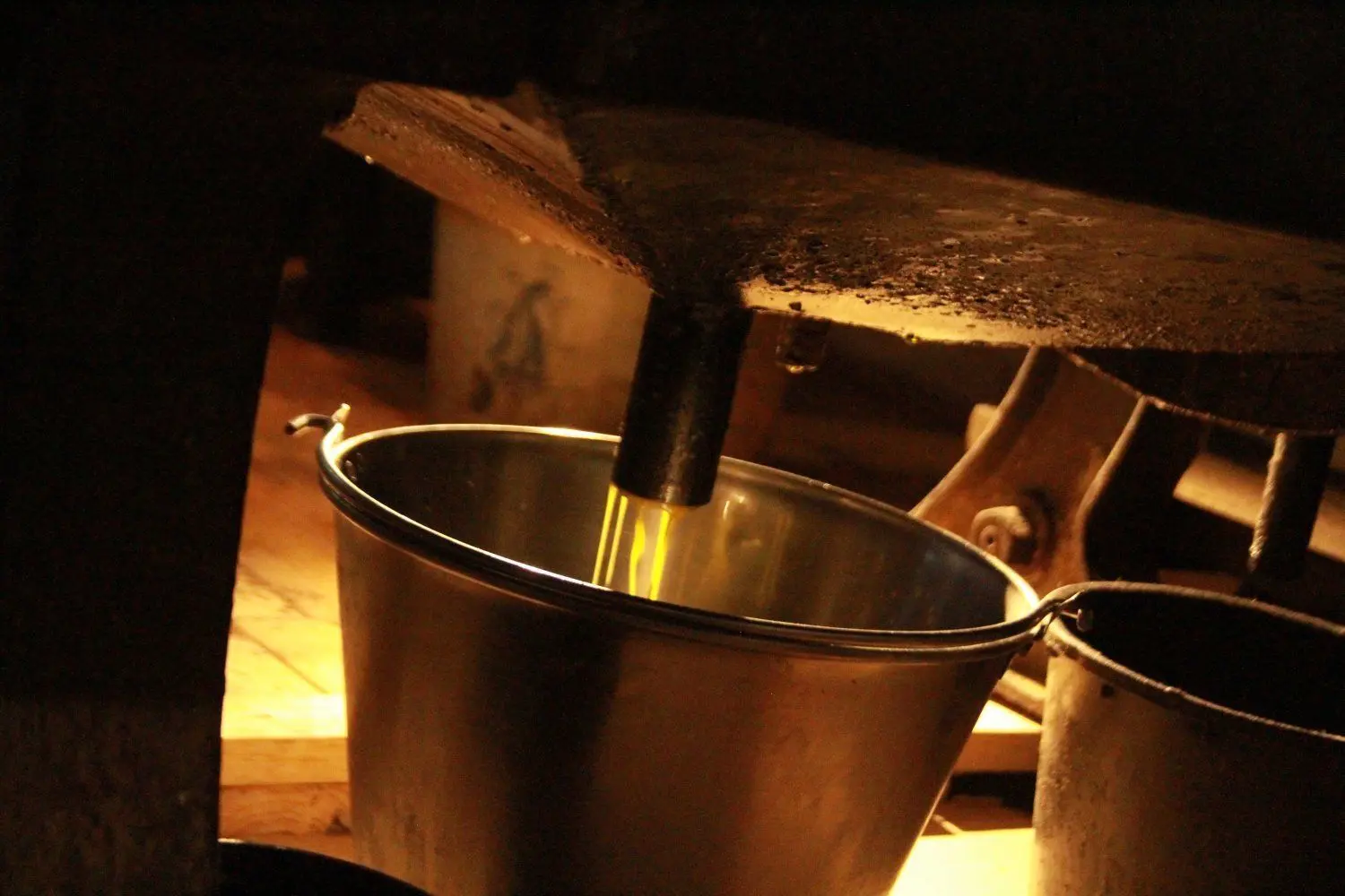 Frisch gepresstes Leinöl tropft in der Straupitzer Holländerwindmühle in einen Eimer. Es ist bekannt für seinen nussig-röstigen Geschmack. Hergestellt wird es in Europas einziger produzierender Dreifach-Windmühle, einem technischen Denkmal.