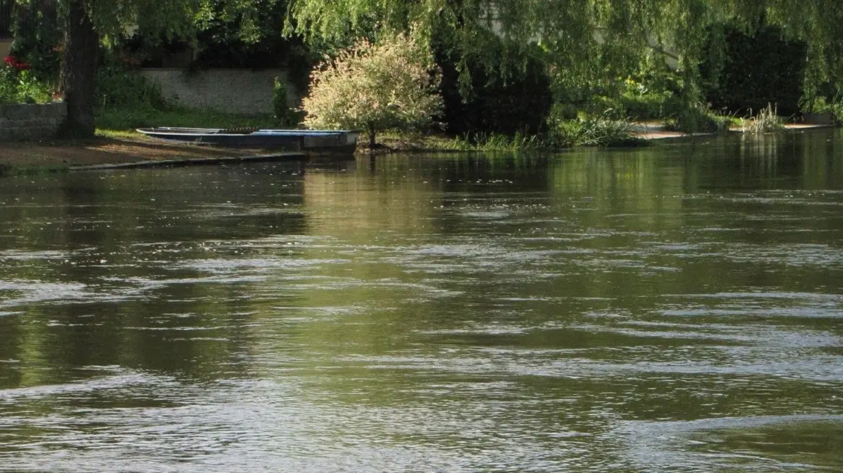 Sinkende Pegel der Spree sind auch bei Leibsch (Dahme-Spreewald) registriert worden.
Sinkende Pegel bei Leibsch