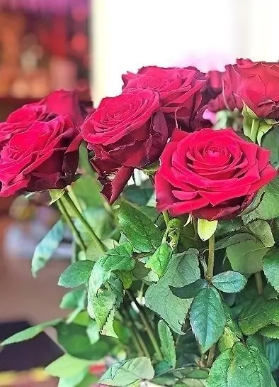 Rote Rosen sind nicht nur am Valentinstag beliebt. Am 14. Februar sind sie aber der Dauerbrenner, wie Christian Faust vom Bernsdorfer Blumenhandel bestätigt.