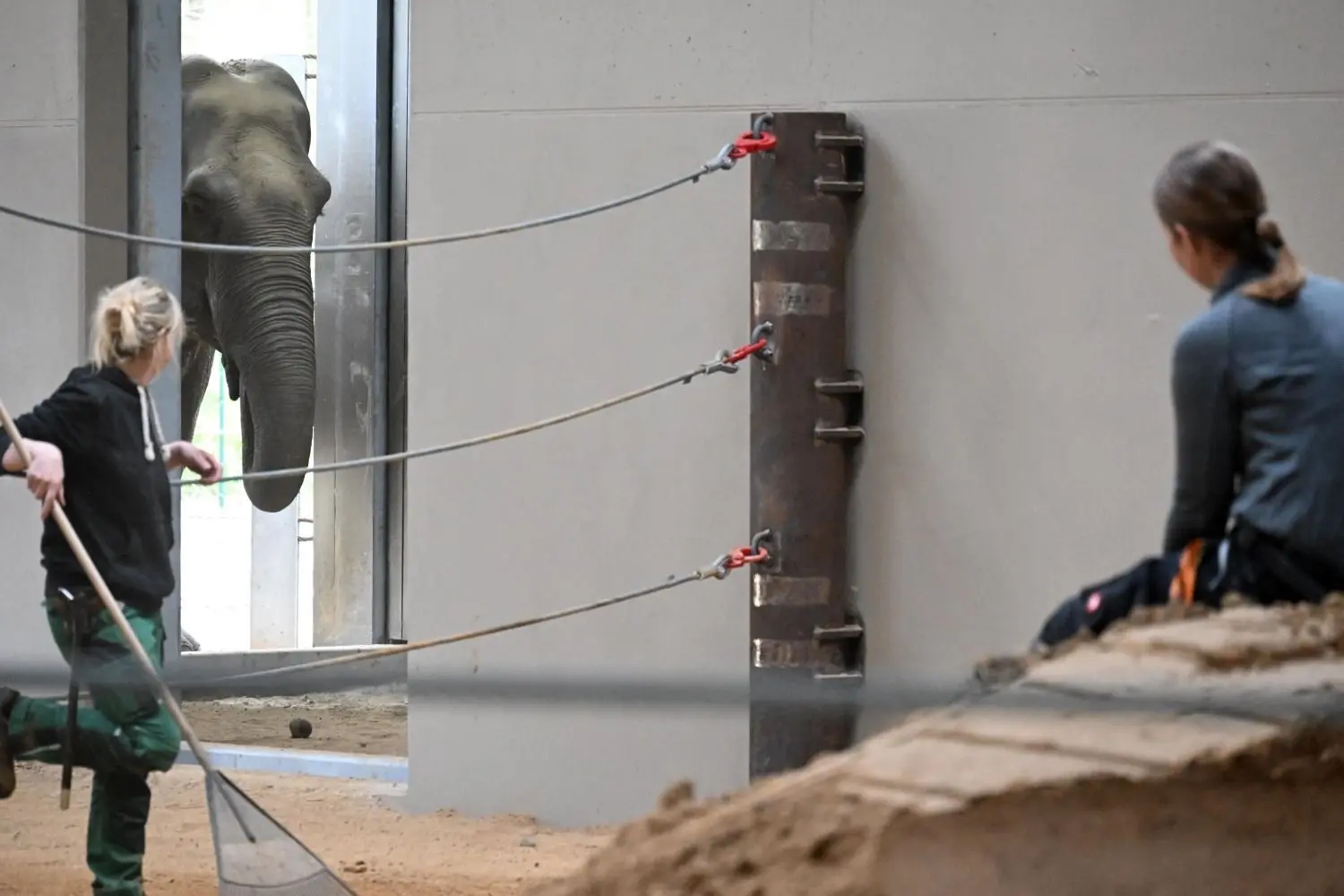 Die beiden Zootierpflegerinnen Heike Jandke (r) und Yvonne Weigelt warten im neuen Elefantenhaus darauf, dass sich Sundali über die Schwelle traut.
