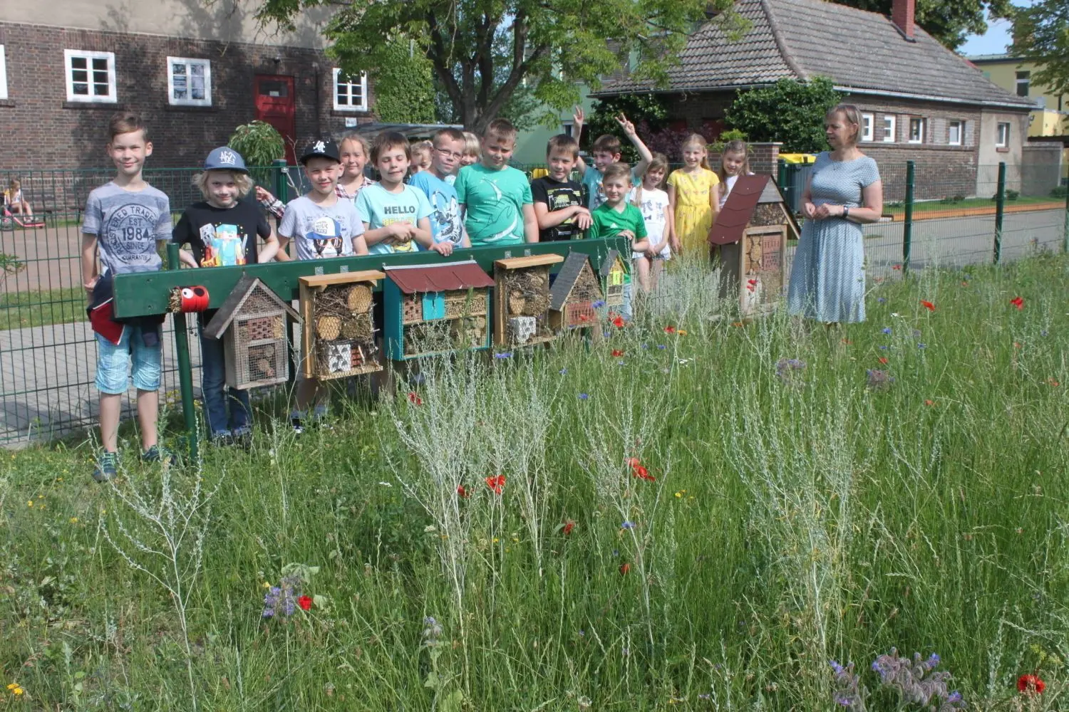 Es blüht an der Schule Schönewalde. Die Kinder haben die Insektenhotels selbst gebaut.