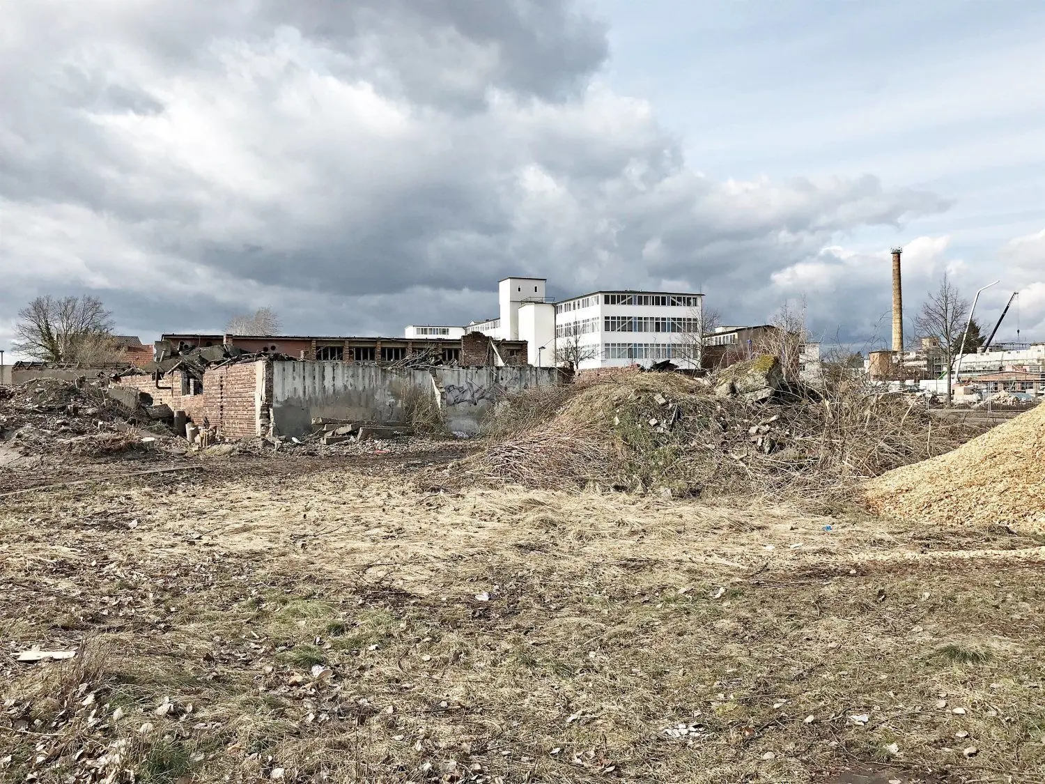 An der Brandenburger Straße/Ecke Finspangsgatan in Finsterwalde wird eine Schmuddelecke beräumt. „Mit der Stadthalle hat das nichts zu tun“, heißt es im Bauamt. Aber vielleicht mit Lidl-Plänen?
