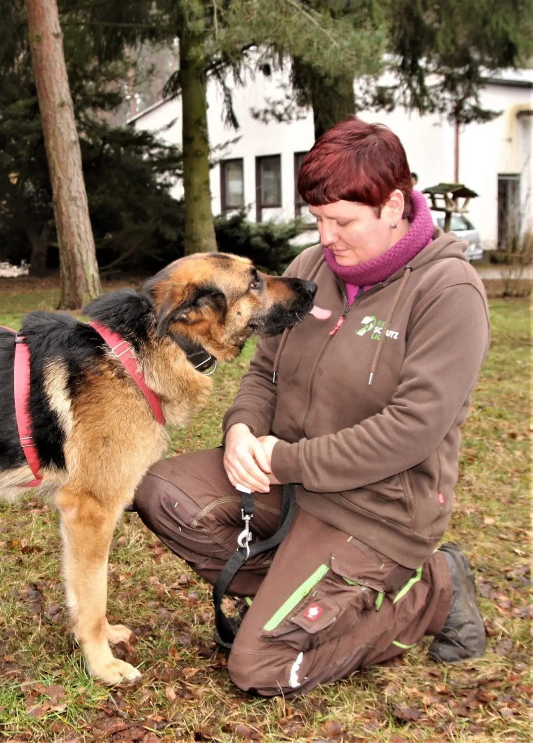 "Poldi" hat ein freundliches Wesen und taugt zum Familienhund. Ab Februar könnte er vermittelt werden. ⇥