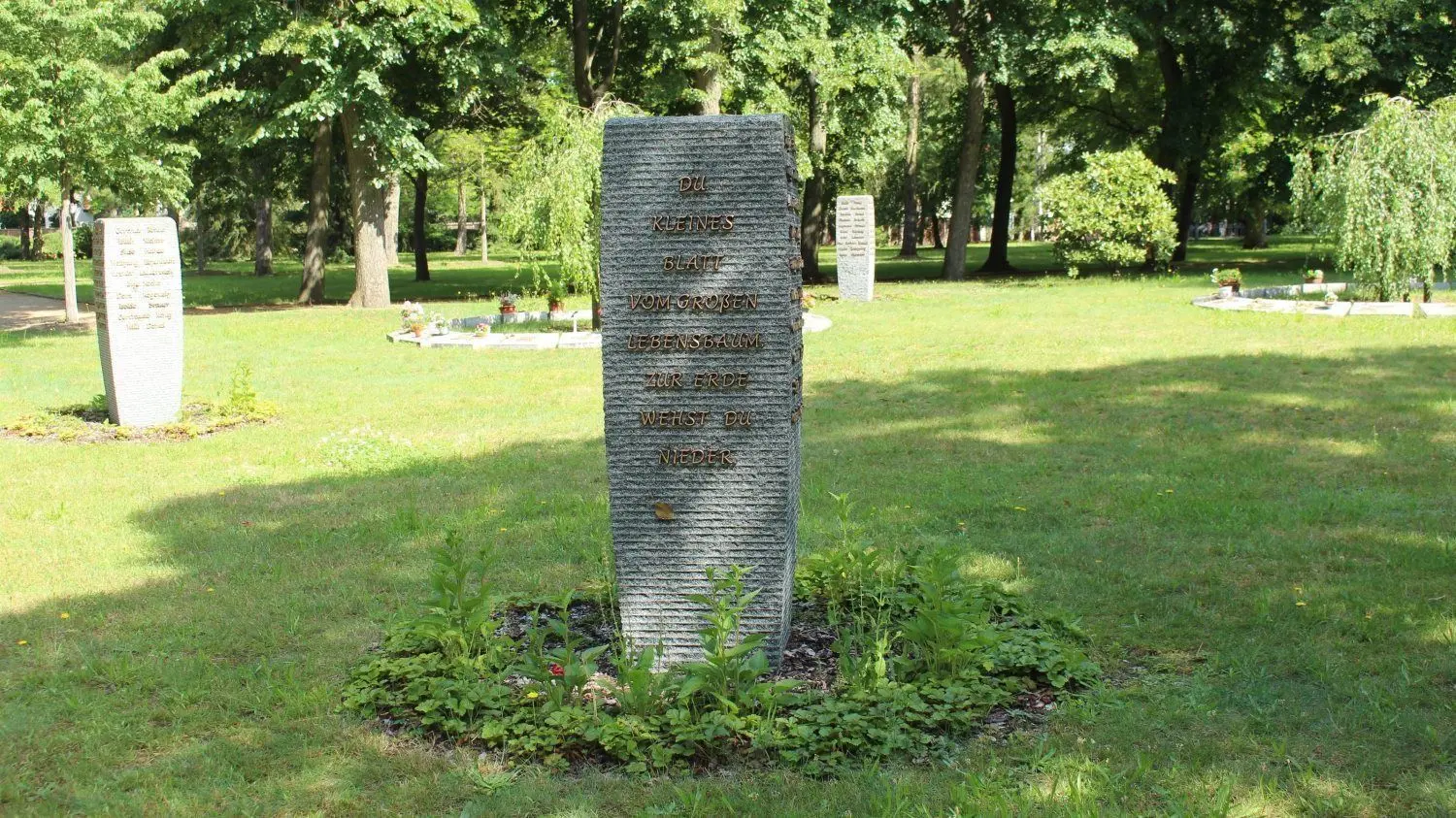 Die Urnengrabstätten im Süden des Friedhofes in Weißwasser sind bereits voll belegt.