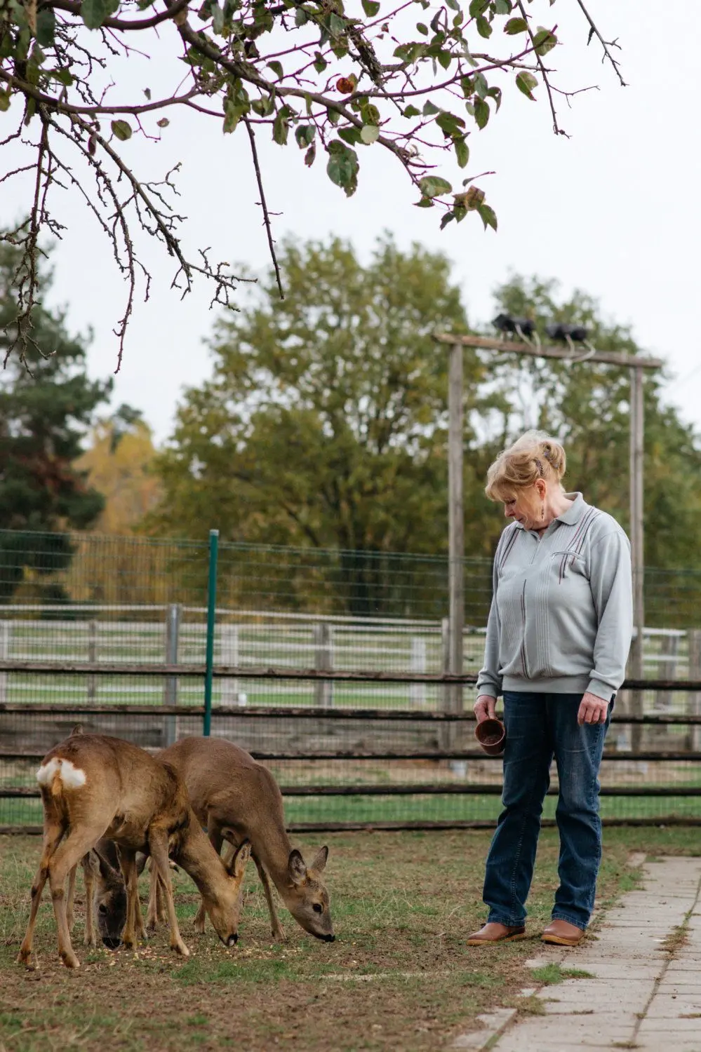 Tierärztin Susanne Schmidt versorgt in der Wildtierauffangstation Skadow ehrenamtlich viele verunfallte Wildtiere. In dieser Arbeit wird sie nur von Spenden unterstützt.