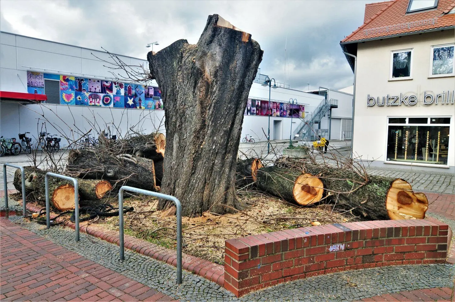 Am Donnerstagmittag ist die Rosskastanie in der Promenade bereits in ihre Einzelteile zerlegt.