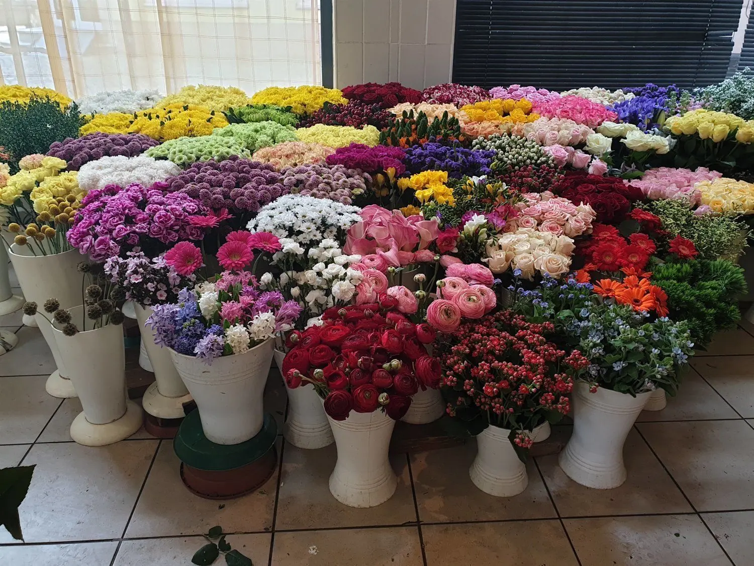 Ein Blütenmeer zum Geschäftsschluss: Bei Blumen Hellmuth ist die Auswahl am vorletzten Verkaufstag noch beträchtlich. Das Seniorenzentrum Albert Schweitzer freut sich kurz darauf über einen überraschenden Blumengruß aus dem Finsterwalder Geschäft. Andere Pflanzen landen kistenweise in der Tonne.