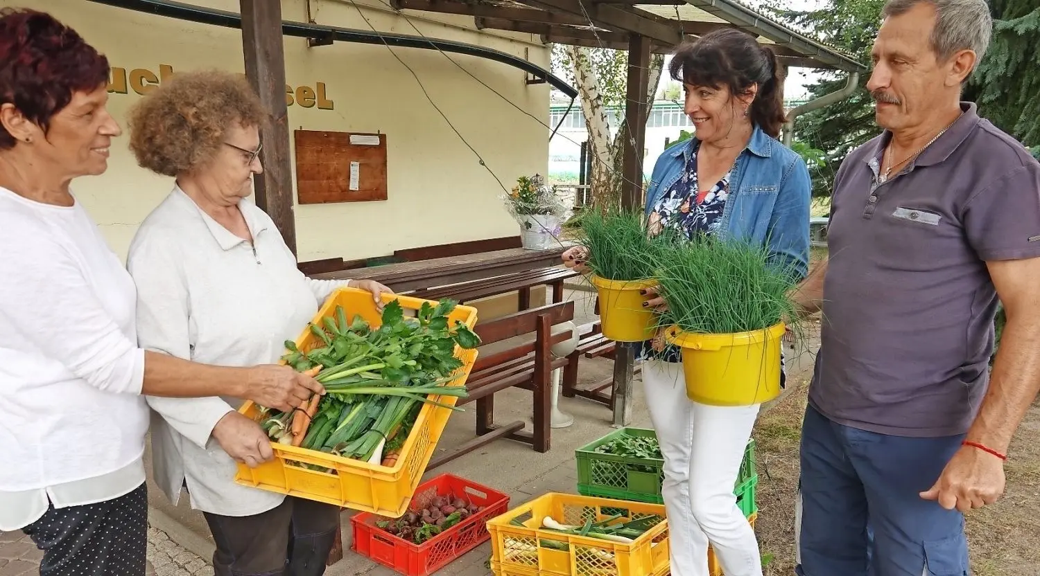 Roswitha Rodig und Margit Kieschnick freuen sich mit Ursula Grus und Waldemar Fetter von der Caritas (v.l.n.r.) über die gute Ernte in den Tafelgärten.