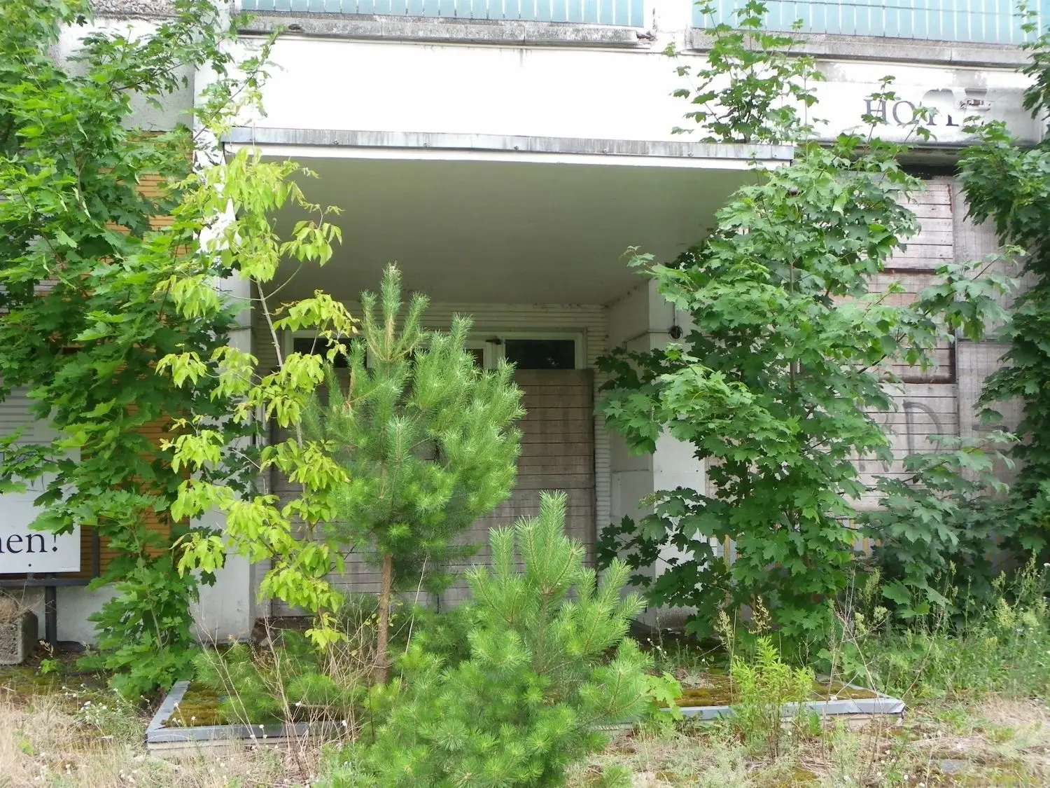 So verwildert sah das Umfeld des Hochhauses noch im letzten Sommer aus. Inzwischen gehört dieser Zustand der Vergangenheit an.