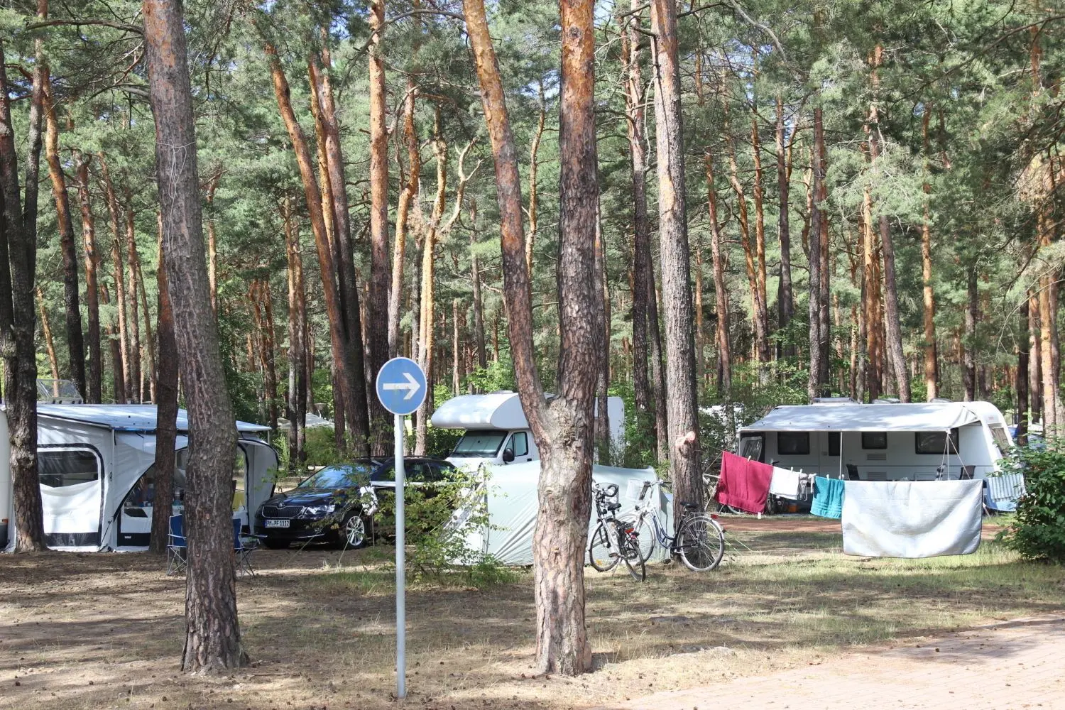 Der Familienpark Großkoschen befindet sich inmitten des Lausitzer Heidewaldes und direkt am Senftenberger See.