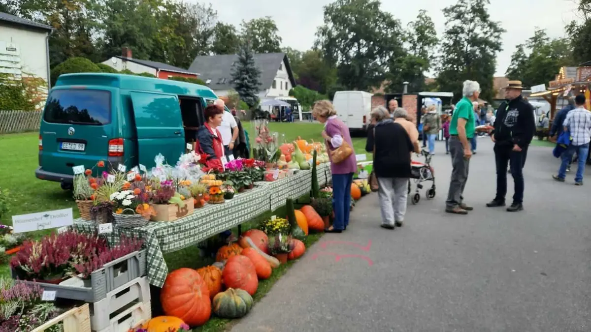 Am 24. September ist in Herzberg wieder Bauernmarkt.
Am 24. September ist in Herzberg wieder Bauernmarkt.