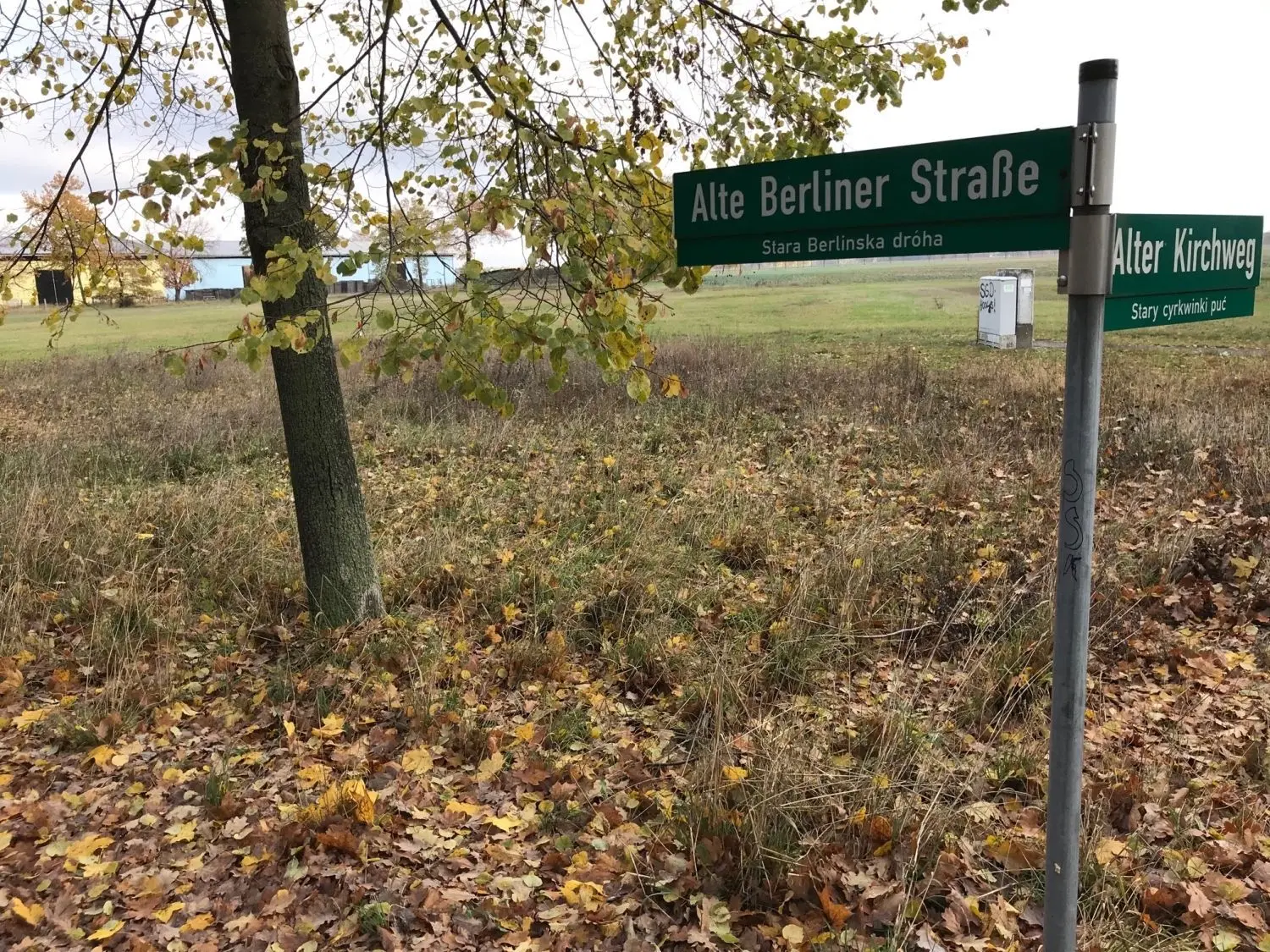 Auf dieser bislang als Grünland genutzten Fläche soll das neue Wohngebiet in Bergen entstehen.