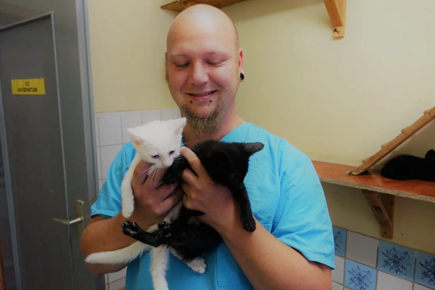 Tierpfleger Enrico Leichsner hält zwei Katzenbabys in den Händen.