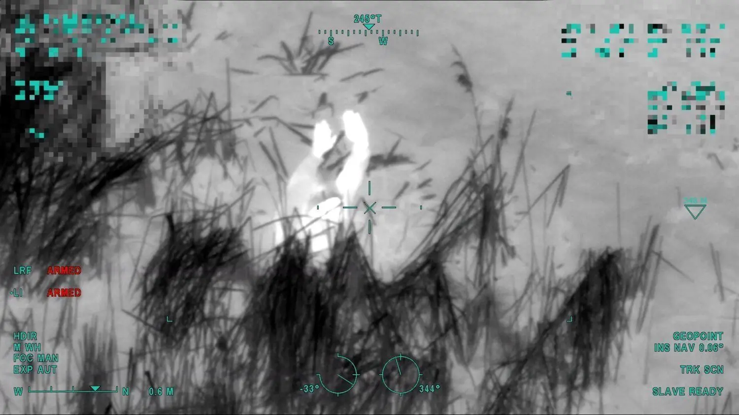 Ein Polizeihubschrauber lotste die Einsatzkräfte am Boden direkt zum mutmaßlichen Täter, der sich im Schilfgürtel eines Romanikteiches bei Uhyst versteckt hatte. Mit erhobenen Händen kommt er auf die Polizisten zu.