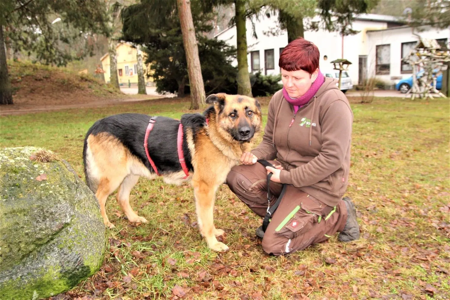 „Poldi“ haben die Tierpfleger den Schäferhund-Mix genannt, der mehrere Tage im Wald bei Spremberg-Pulsberg herumgeirrt war. Tierpflegerin Sabine Schutzka nimmt sich Zeit für ihn.