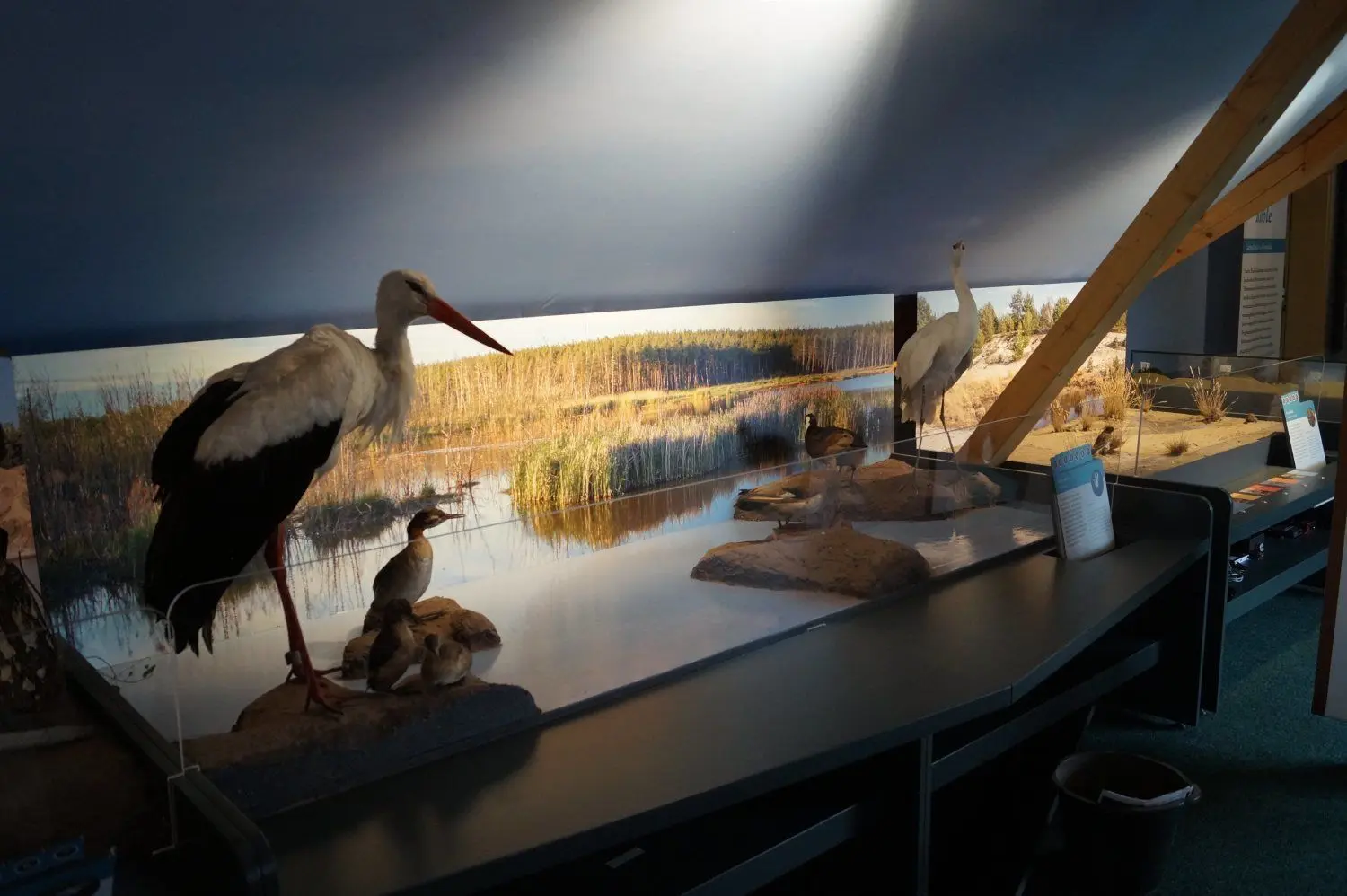 Die Ausstellung stellt die Flora und Fauna der Region so realistisch wie möglich dar, damit Besucher auch einen Eindruck von den derzeit gesperrten Gebieten bekommen.