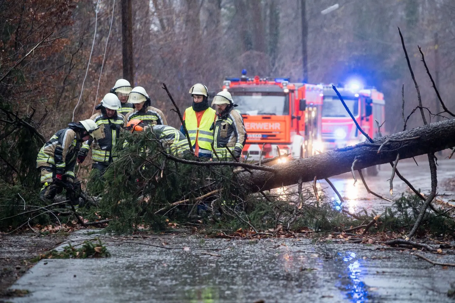 Einsatzkräfte der Feuerwehr versuchen, einen durch das Sturmtief «Sabine» umgestürzten Baum von einer Straße zu entfernen.